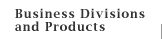 Business Divisions and Products