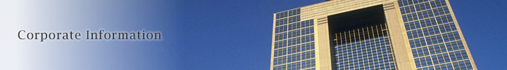 Corporate Information