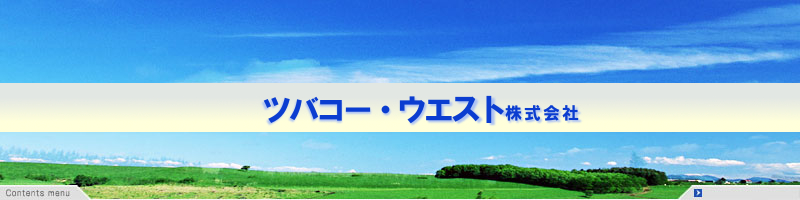 �c�o�R�[�E�G�X�g�������