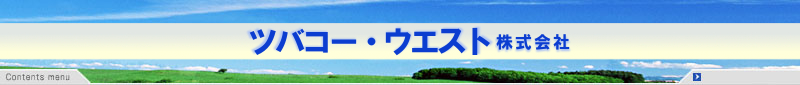 �c�o�R�[�E�G�X�g�������