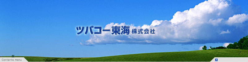 �c�o�R�[���C�������