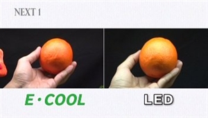 色味