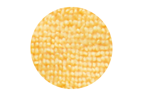 食器(ループ)