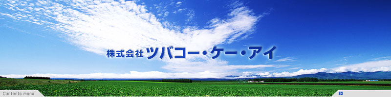 ������Ѓc�o�R�[�E�P�[�E�A�C