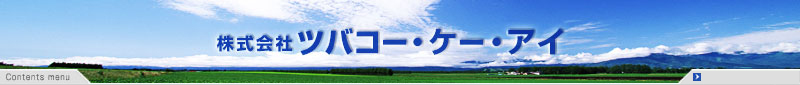 ЃcoR[EP[EAC