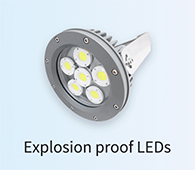 Explosion proof LEDs