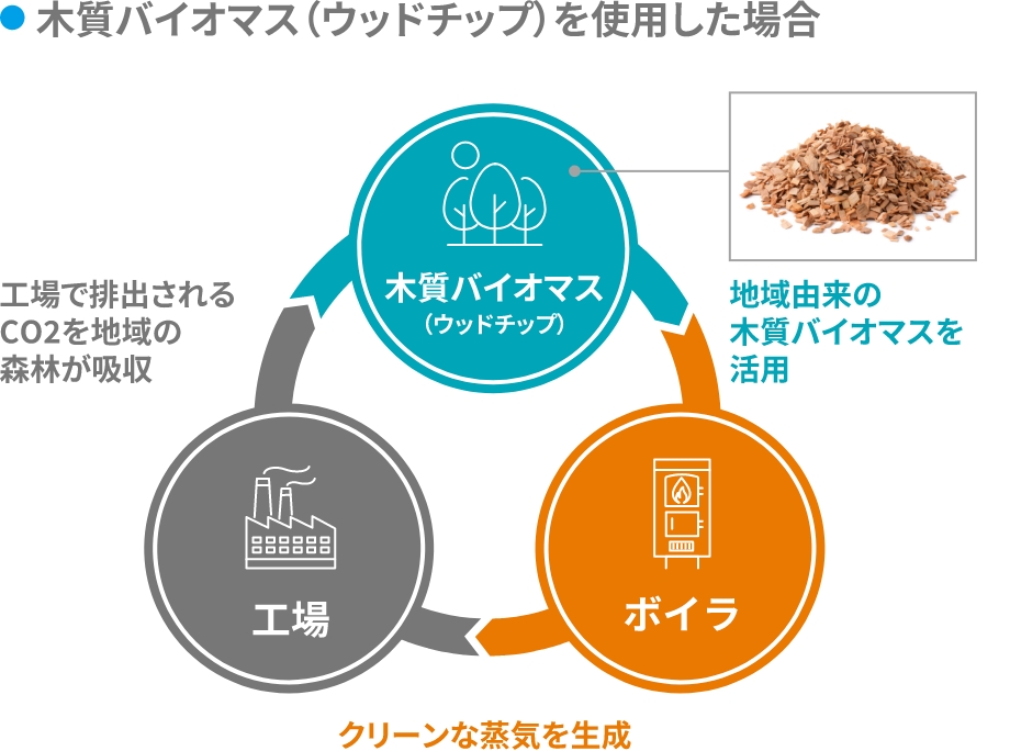 木バイオマスを用いた場合の循環図
